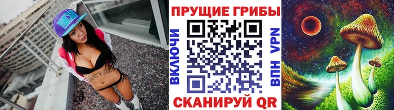 Купить  Курск  Псилоцибиновые грибы прущие грибы 